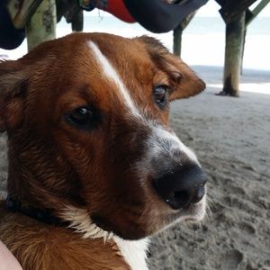 Meet your Posher, Danica